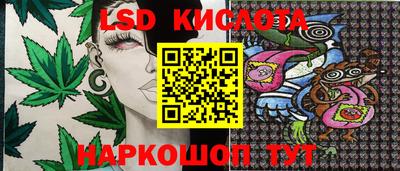 apvp Нальчик