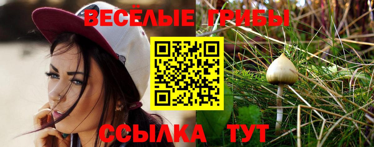 Псилоцибиновые грибы Psilocybine cubensis  Вход с VPN  Тольятти  Галлюциногенные грибы мицелий 